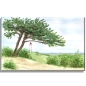 Preview: Leinwand 40 x 30 cm Keilrahmen Canvas-Leinen Aquarell Maritim Kunst Druck Kunstdruck Ostsee Leuchtturm Dornbusch Hiddensee Rügen